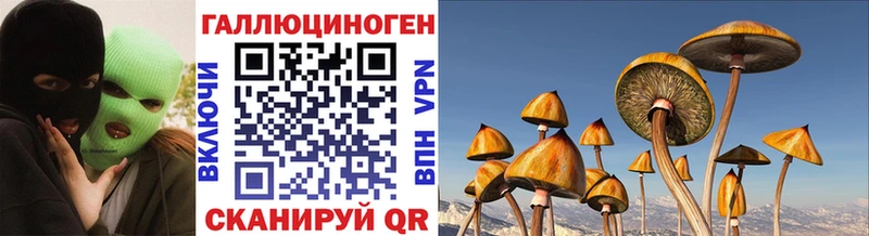 ссылка на мегу как зайти Старый Крым Псилоцибиновые грибы Magic Shrooms